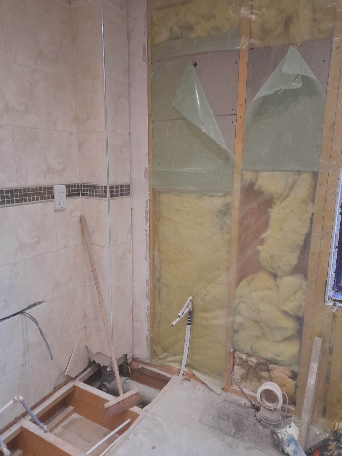 Before Renovation - Strip Out